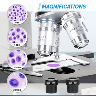 Foto 5 | Microscopio Compuesto Binocular Led Serie Omax M82e De Laboratorio - Venta Internacional.