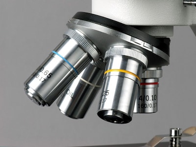 Foto 2 | Microscopio Biológico Amscope B100c-sp14-cls-50p100s 40x-2500x - Venta Internacional.