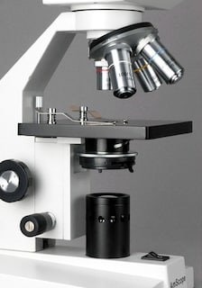 Foto 6 | Microscopio Biológico Amscope B100c-sp14-cls-50p100s 40x-2500x - Venta Internacional.