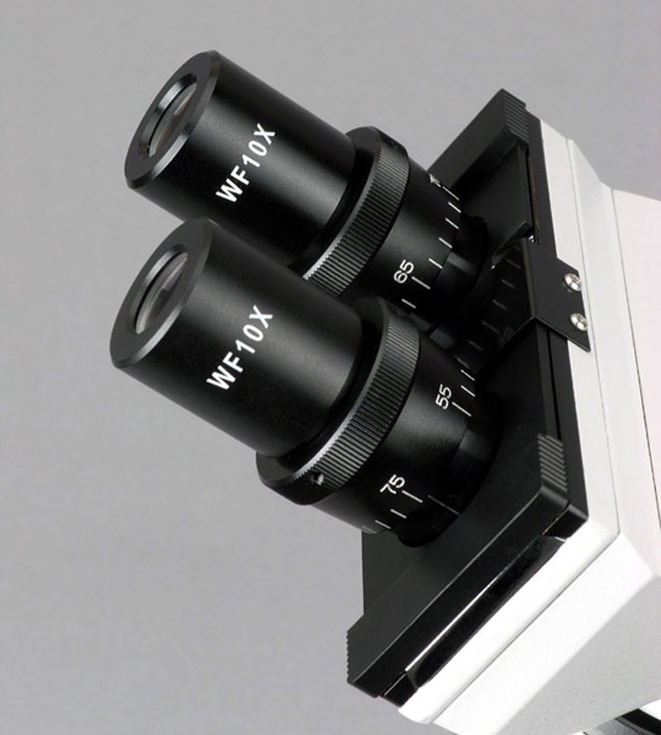 Foto 7 | Microscopio Biológico Amscope B100c-sp14-cls-50p100s 40x-2500x - Venta Internacional.