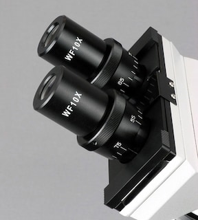 Foto 7 | Microscopio Biológico Amscope B100c-sp14-cls-50p100s 40x-2500x - Venta Internacional.