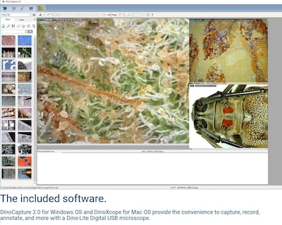 Foto 5 | Microscopio Digital Dino-lite Am3111-0.3mp, 10x - 50x, 230x - Venta Internacional.