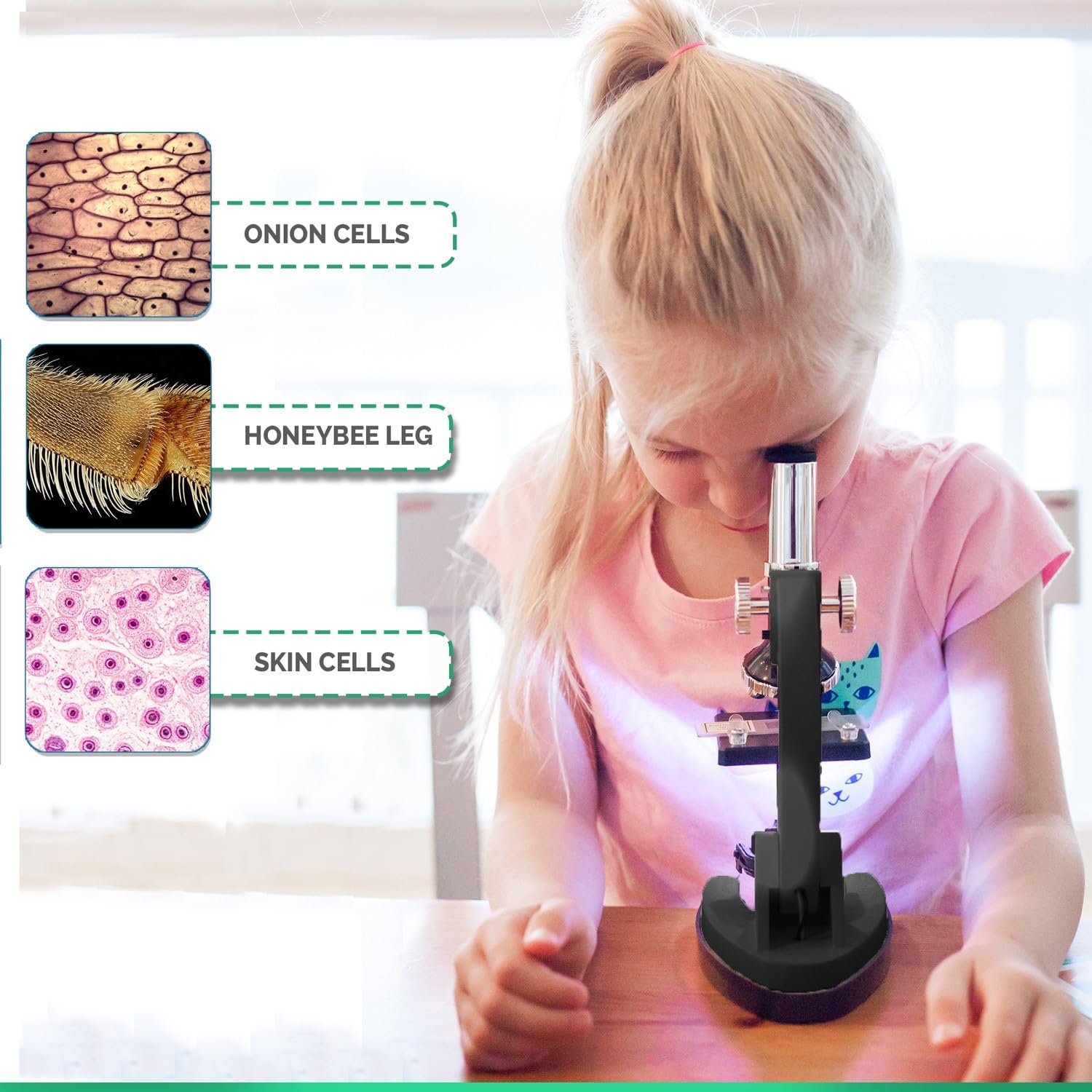 Foto 4 pulgar | Microscopio Amscope Serie M30 Stem De 52 Piezas Para Niños  Color Negro - Venta Internacional.