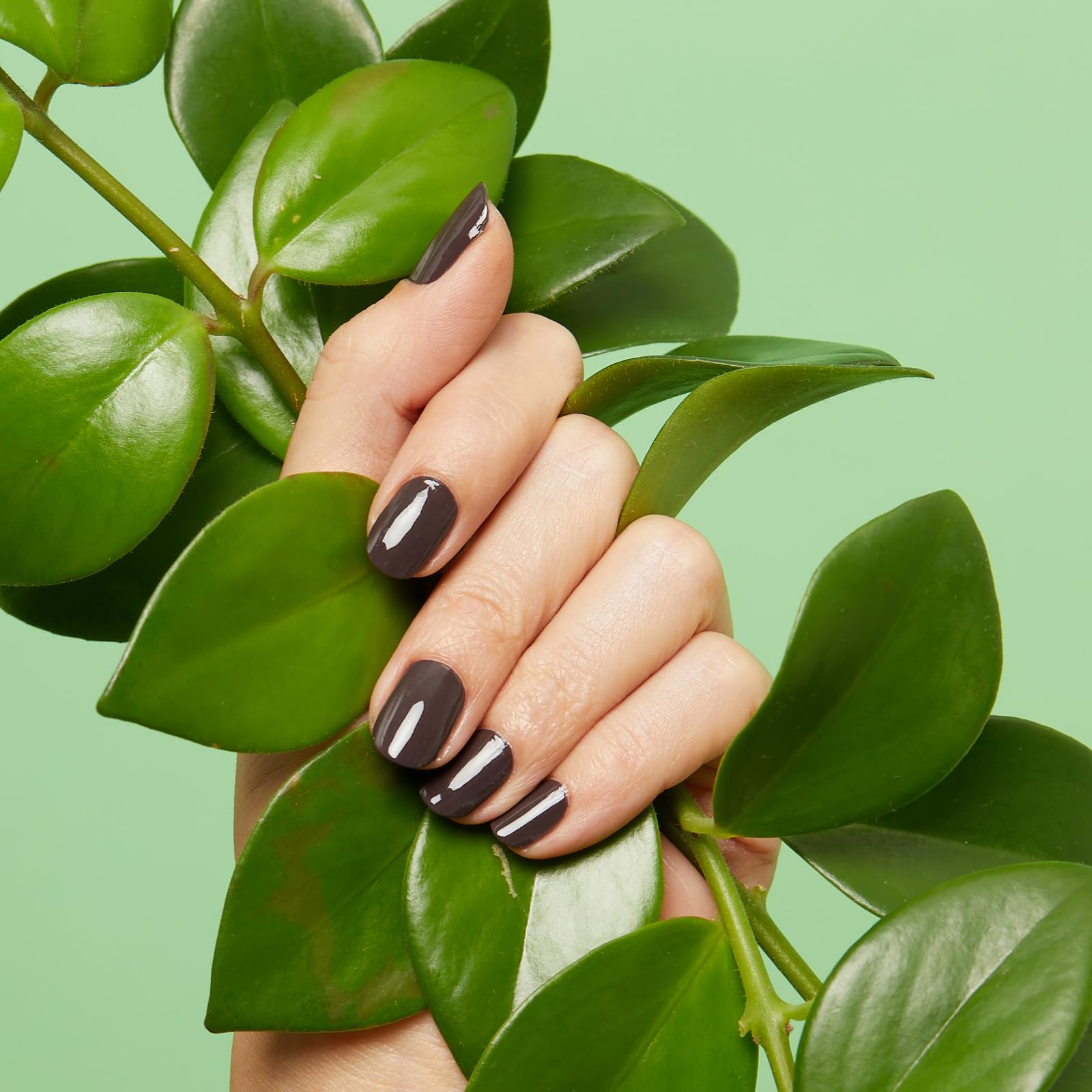 Foto 5 | Esmalte De Uñas Nailtopia A Base De Plantas, Sin Chips, Pero El Primer Café - Venta Internacional.