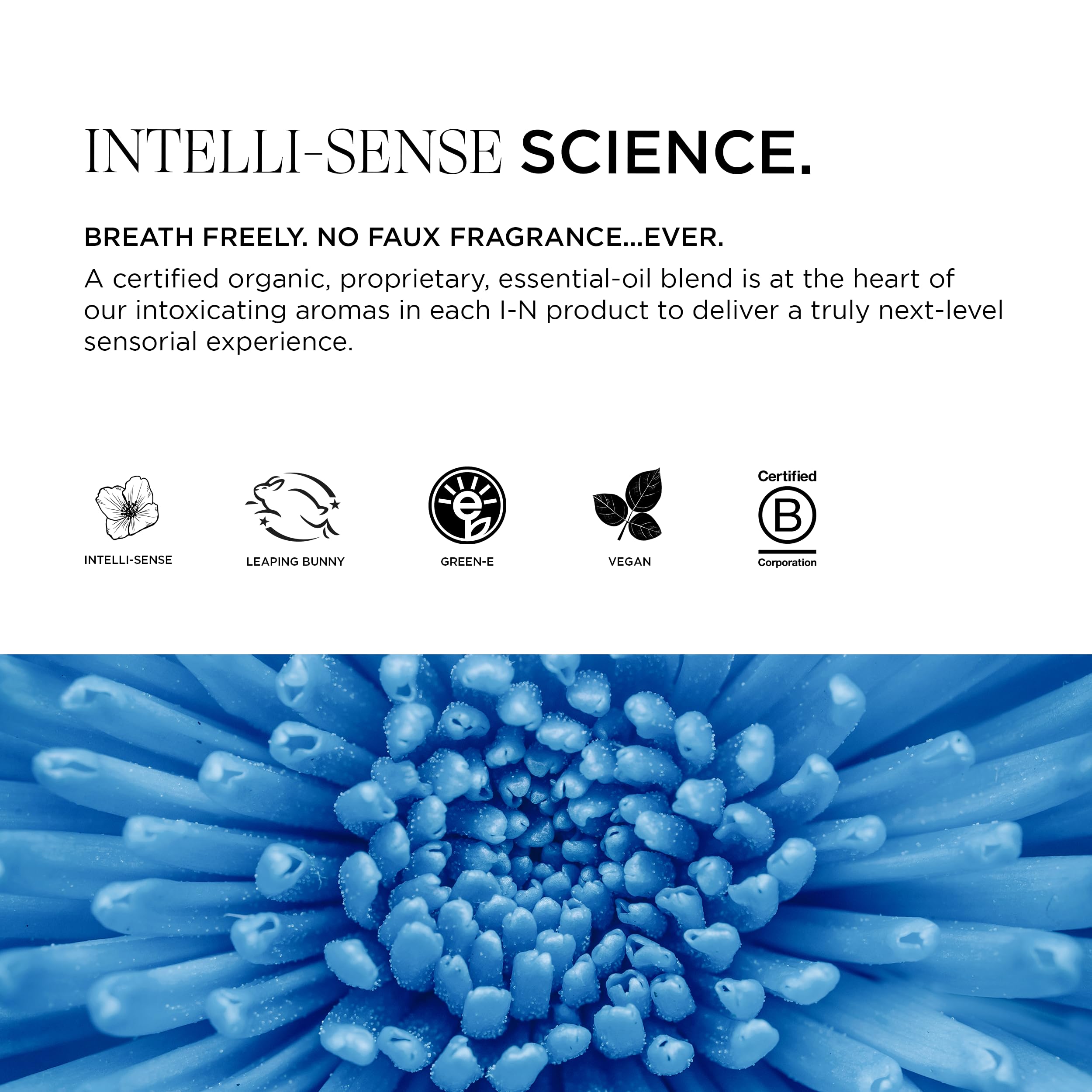 Foto 6 pulgar | Crema Blow Out Intelligent Nutrients Amplifi-hair, 120 Ml, Vegana - Venta Internacional.