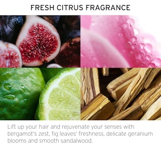 Foto 4 | Bálsamo Blowout Balm Fekkai Clean Stylers Straight Balm, 150 Ml, Vegano - Venta Internacional.