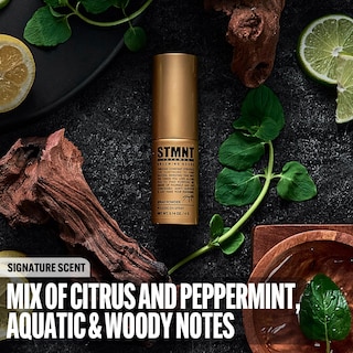 Foto 4 | Polvo En Aerosol Stmnt Grooming Goods Acabado Extra Mate 4 Ml - Venta Internacional.