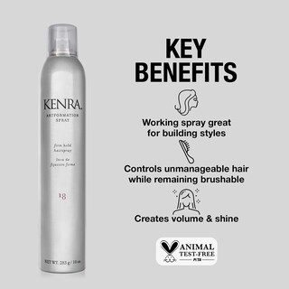 Foto 2 | Aerosol Para El Cabello Kenra Artformation 18, Fijación Firme, 300 Ml - Venta Internacional.