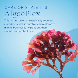 Foto 4 | Spray Wax Aquage Spray Texturizante Flexible 240 Ml - Venta Internacional.