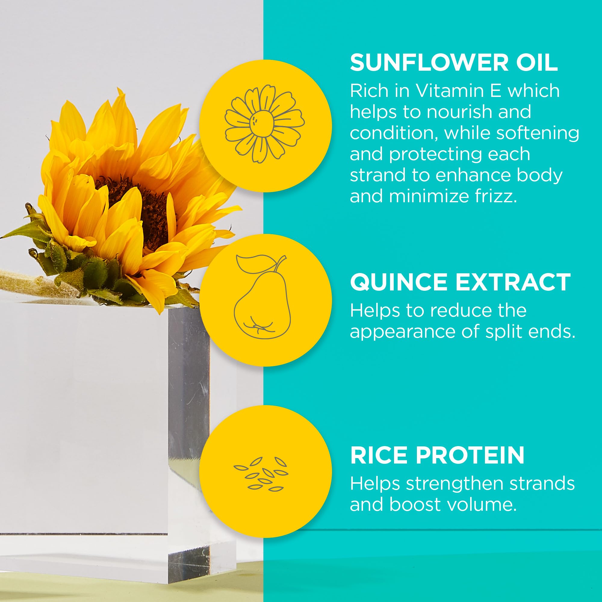Foto 5 pulgar | Spray Para El Cabello Andalou Naturals Brilliant Shine Sunflower 240 Ml - Venta Internacional.