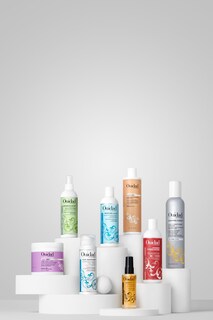 Foto 6 | Spray Energizante Y Refrescante Curl Ouidad Botanical Boost - Venta Internacional.