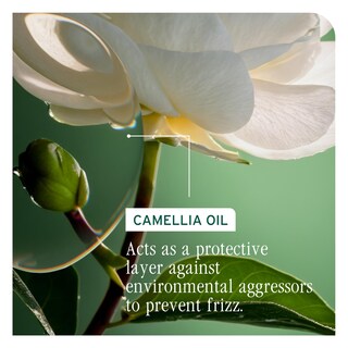 Foto 6 | Crema Sin Enjuague Biolage Smooth Proof Frizz Control 200 Ml - Venta Internacional.