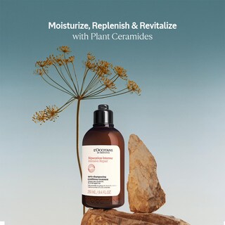 Foto 3 | Acondicionador L'occitane Intensive Repair 250 Ml - Venta Internacional.