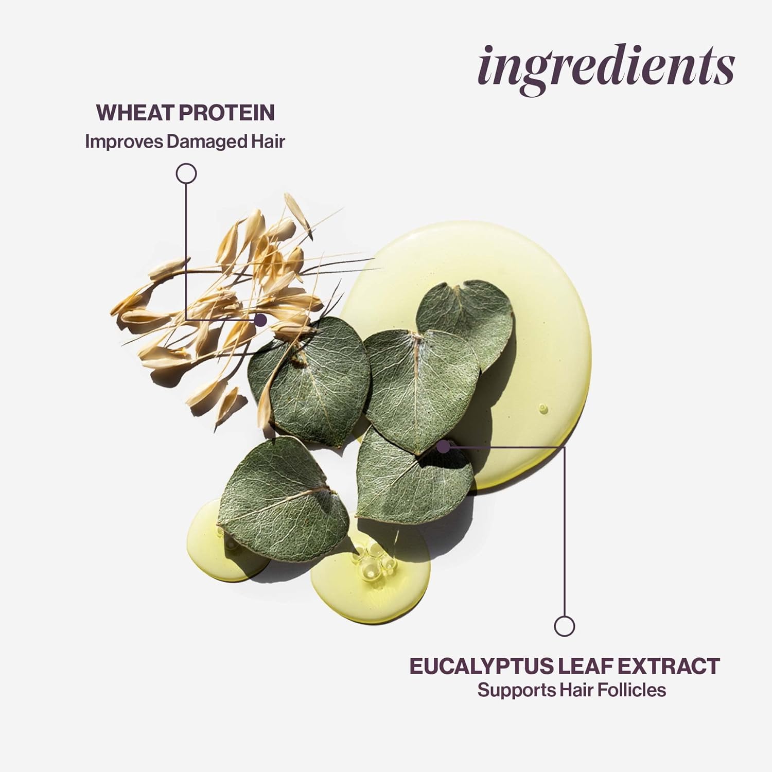 Foto 5 pulgar | Acondicionador Pureology Hydrate Sheer Nutritive 250 Ml, Vegano - Venta Internacional.