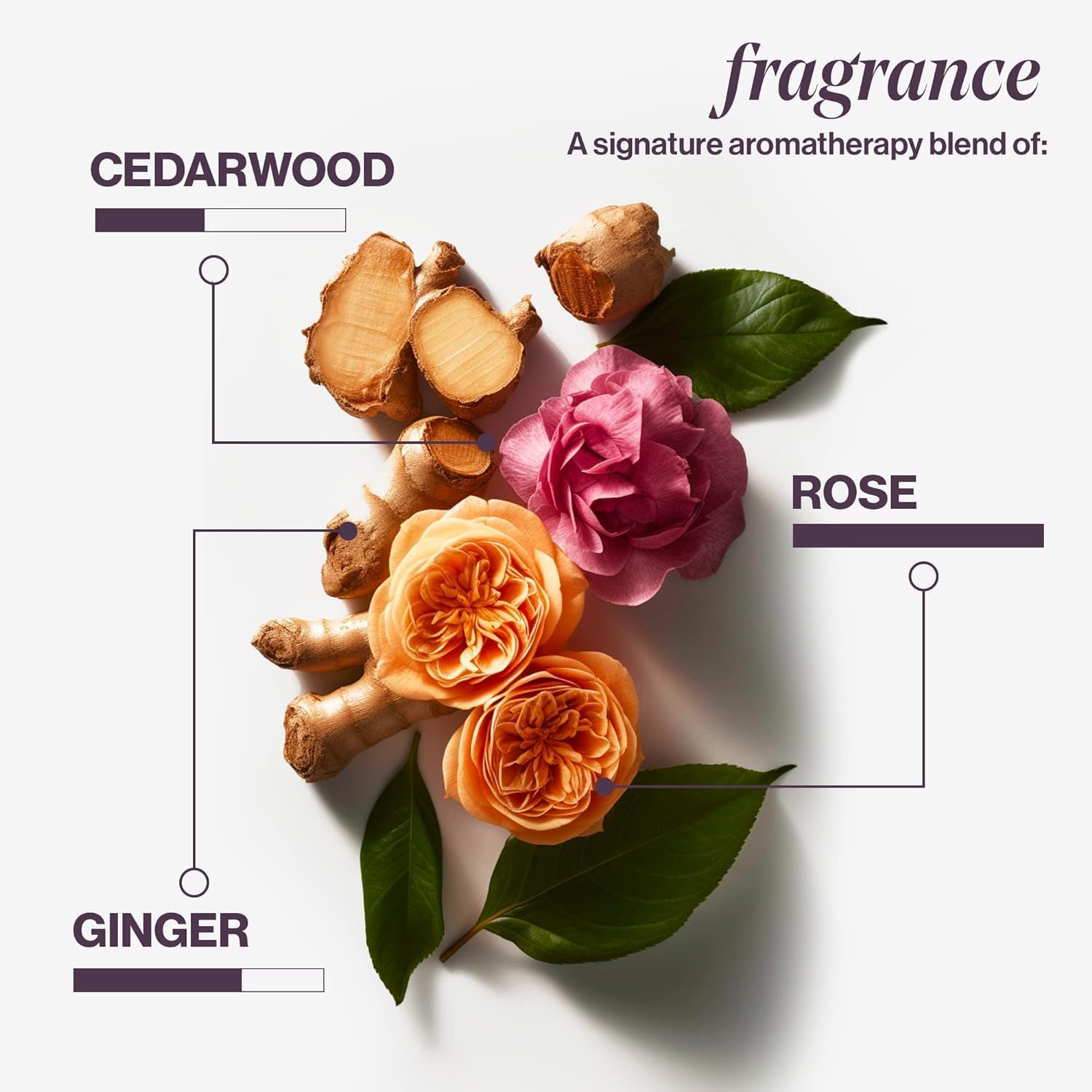 Foto 7 | Acondicionador Sin Enjuague En Aerosol Pureology Color Fanatic, 30 Ml - Venta Internacional.
