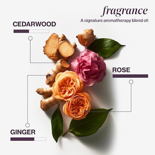Foto 7 | Acondicionador Sin Enjuague En Aerosol Pureology Color Fanatic, 30 Ml - Venta Internacional.