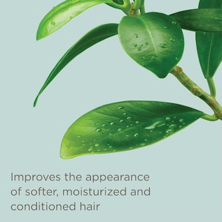 Foto 5 | Acondicionador En Aerosol Sin Enjuague Hairitage, Ligero Como Una Pluma - Venta Internacional.