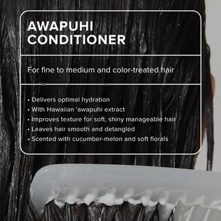 Foto 2 | Acondicionador Paul Mitchell Awapuhi Lightweight Rinse, 1 Litro - Venta Internacional.