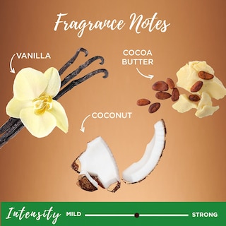 Foto 6 | Acondicionador Sin Enjuague Garnier Whole Blends Frizz Tamer 150 Ml X2 - Venta Internacional.