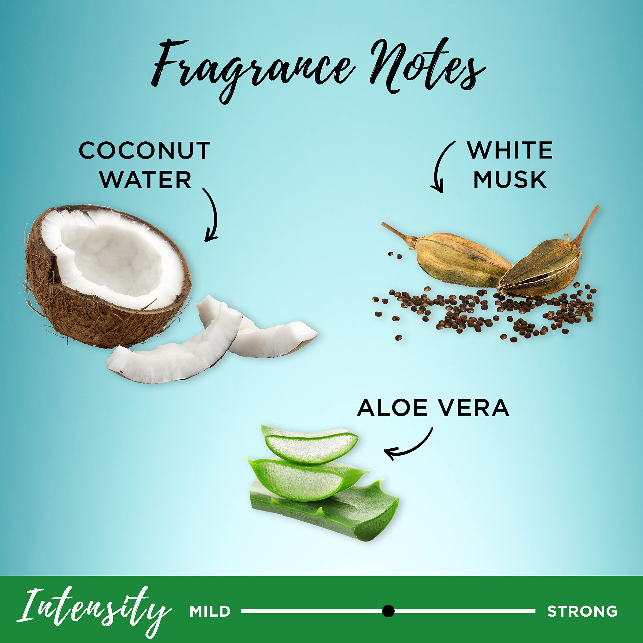 Foto 5 | Acondicionador Garnier Whole Blends, Agua De Coco Y Aloe, 780 Ml - Venta Internacional.