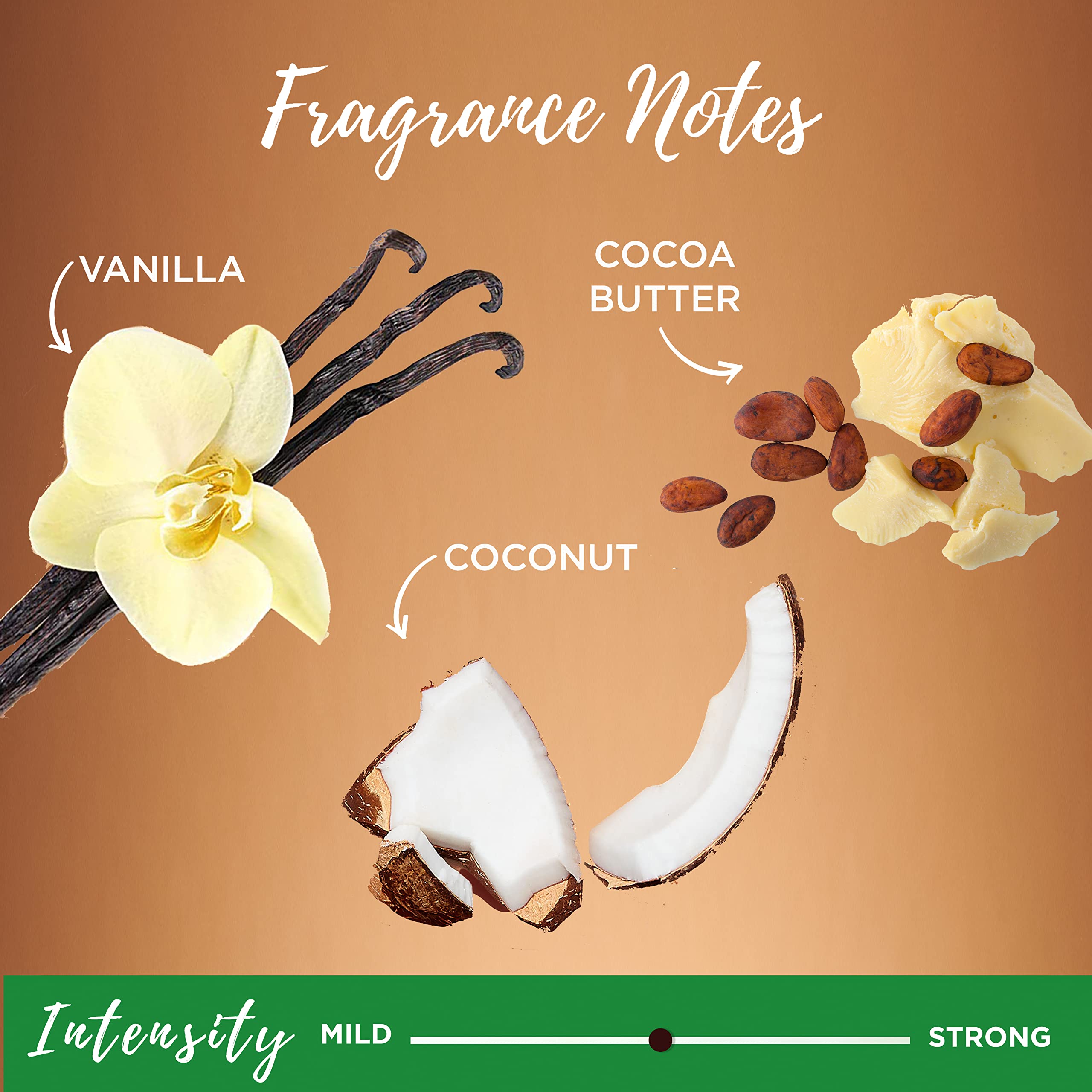 Foto 7 | Acondicionador Garnier Whole Blends Coco Y Cacao 650 Ml X2 - Venta Internacional.