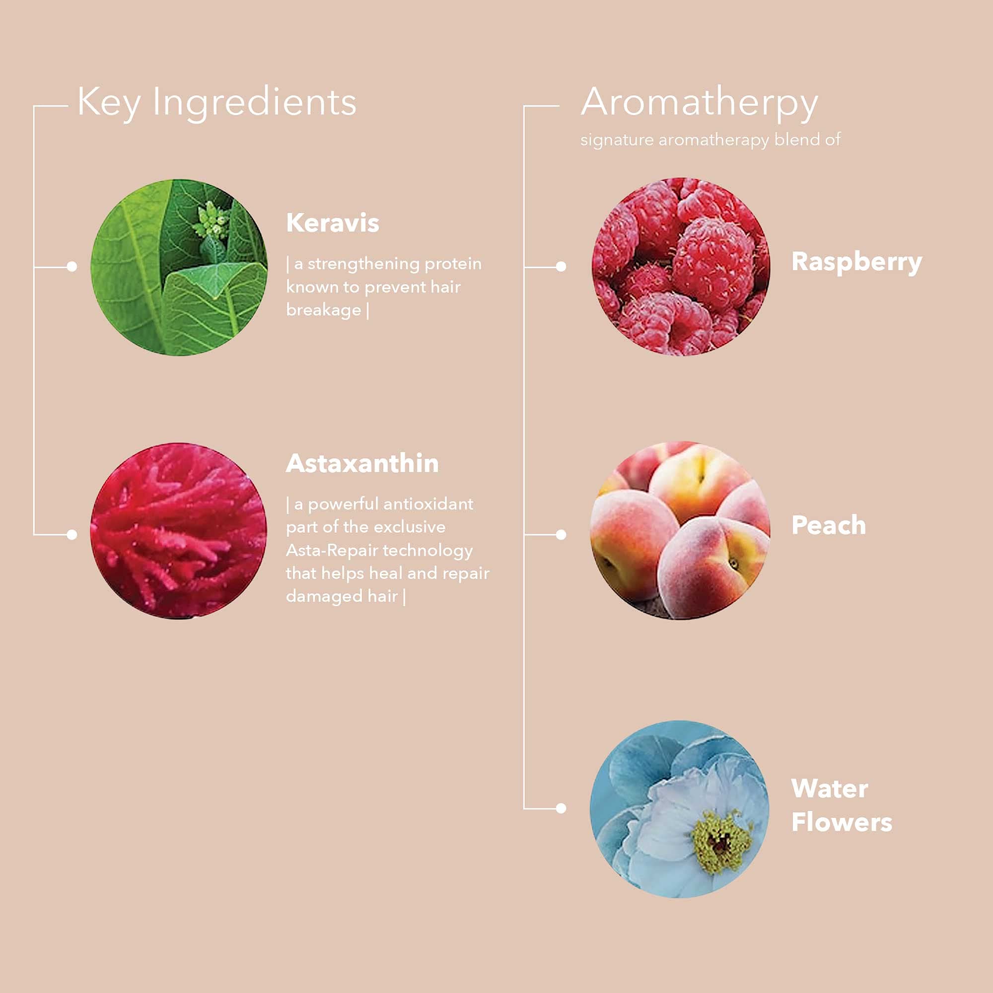 Foto 5 pulgar | Acondicionador Pureology Strength Cure Strengthening 50 Ml - Venta Internacional.