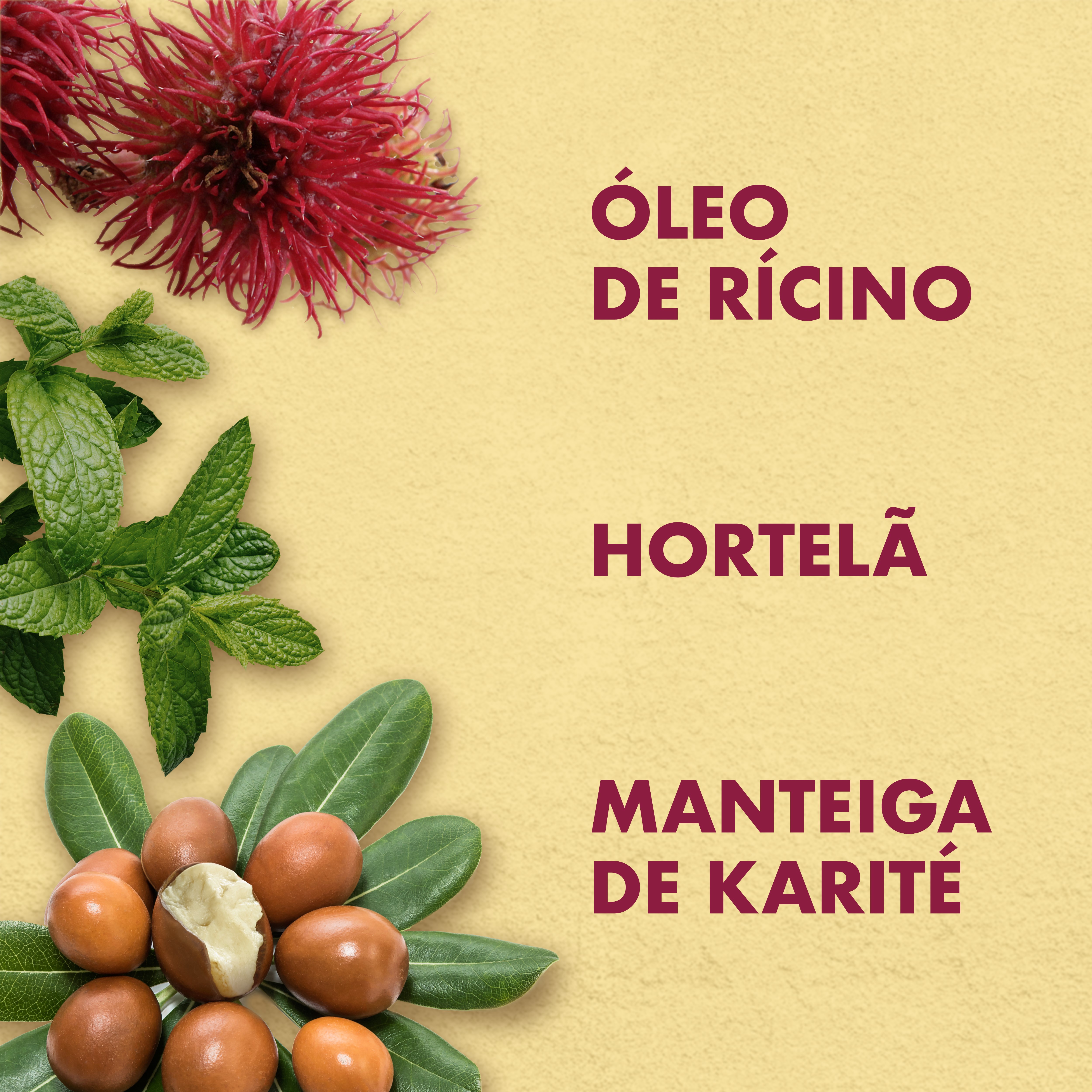 Foto 5 pulgar | Acondicionador De Aceite De Ricino Jamaicano Sheamoisture, 384 Ml - Venta Internacional.