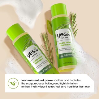 Foto 4 | Champú Yes To Tea Tree Scalp Relief, 355 Ml, Ph Equilibrado, Paquete De 2 - Venta Internacional.