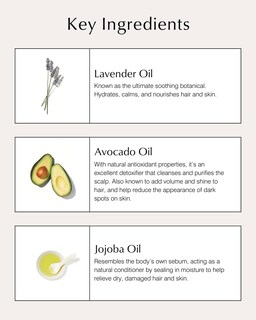 Foto 5 | Acondicionador John Masters Organics Para Cabello Seco Con Lavanda Y Aguacate - Venta Internacional.