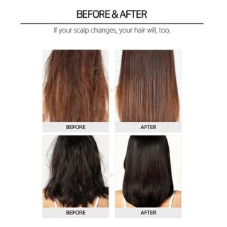 Foto 5 | Acondicionador Cp-1 Purificador Y Jengibre Para Reparar El Cabello Dañado 500 Ml - Venta Internacional.