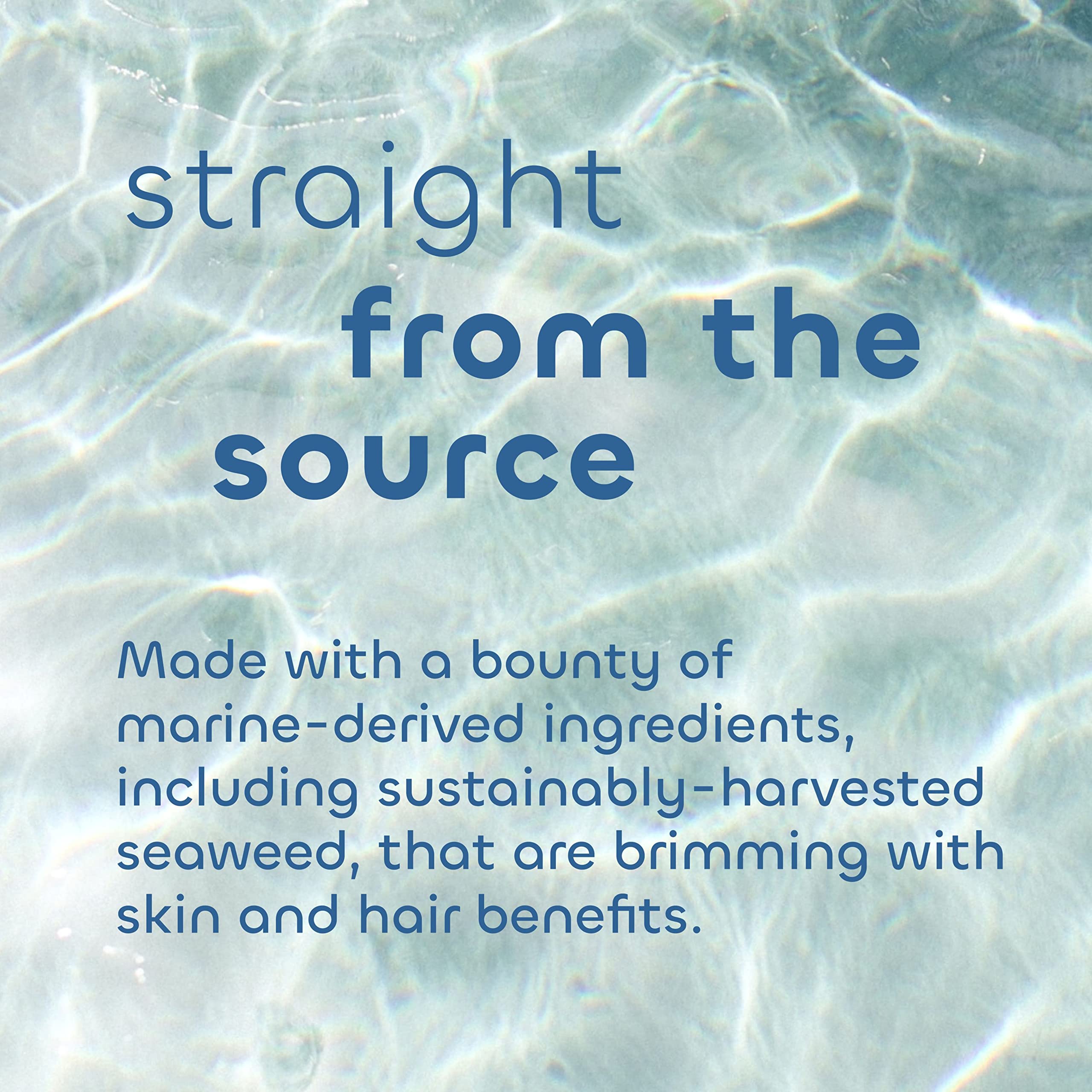 Foto 4 | Acondicionador Seaweed Bath Co. Smooth Citrus Vanilla  350 Ml - Venta Internacional.