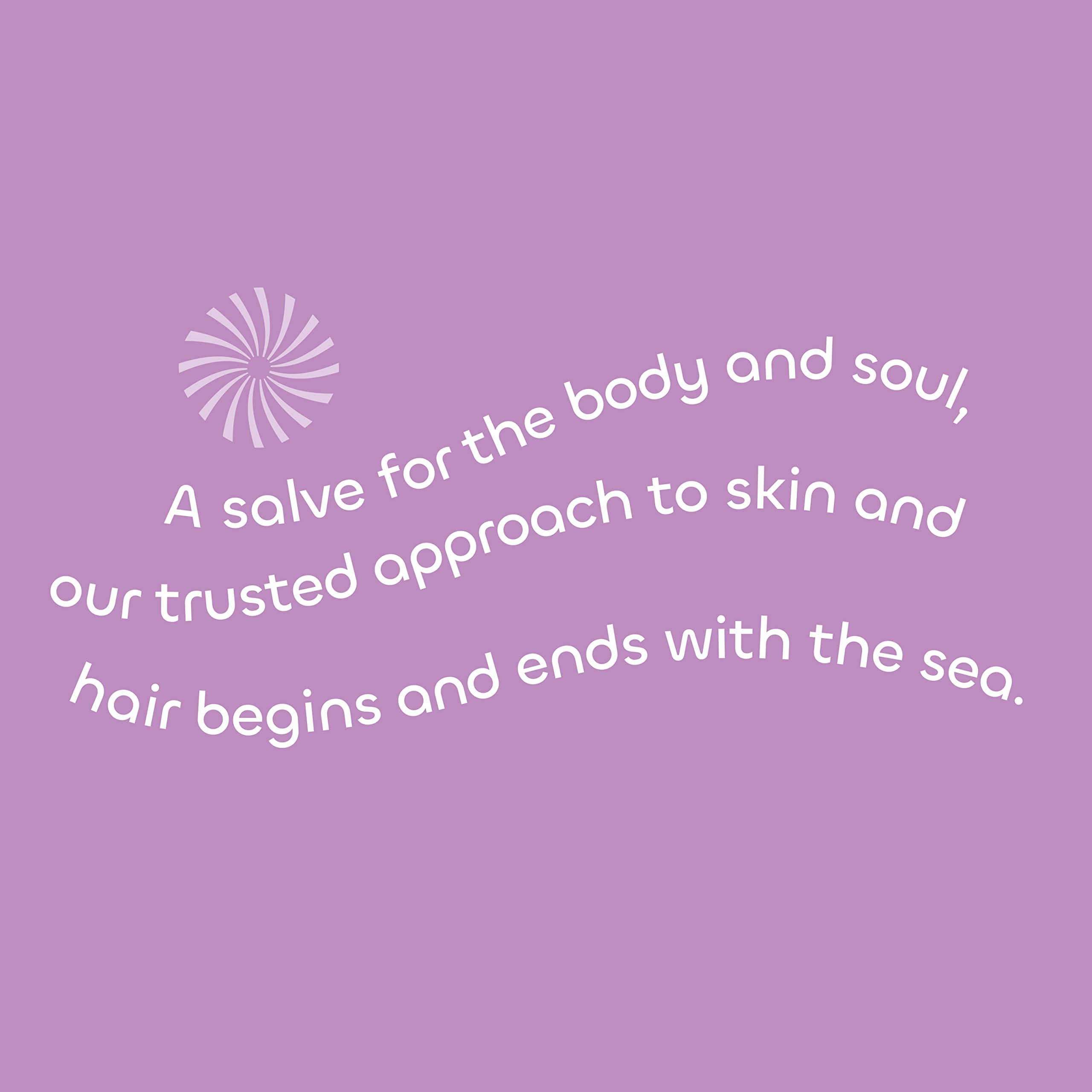 Foto 7 pulgar | Acondicionador Seaweed Bath Co. Volumize Lavender  355 Ml  Normal - Venta Internacional.