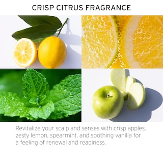 Foto 4 | Enjuague Para El Cabello Fekkai Apple Cider Detox 60 Ml Suaviza Y Añade Brillo - Venta Internacional.