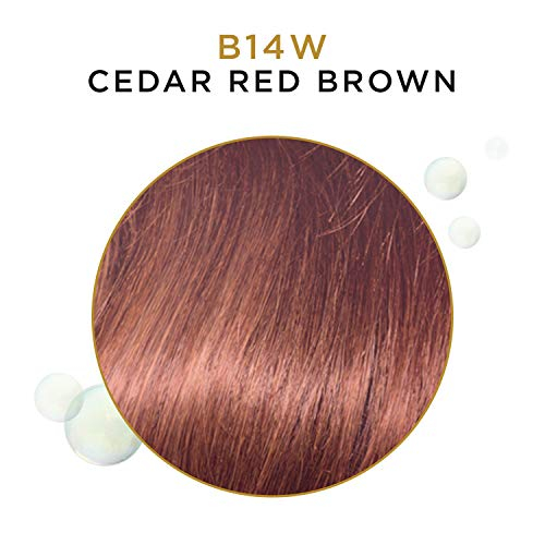 Foto 4 pulgar | Clairol Professional Beautiful Collection Color De Cabello, 14w Cedar Red Brown, 3 Oz - Venta Internacional.