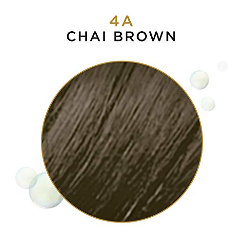 Foto 4 pulgar | Clairol Professional Beautiful Advanced Gray Solutions 4a Chai Brown, 3 Oz - Venta Internacional.