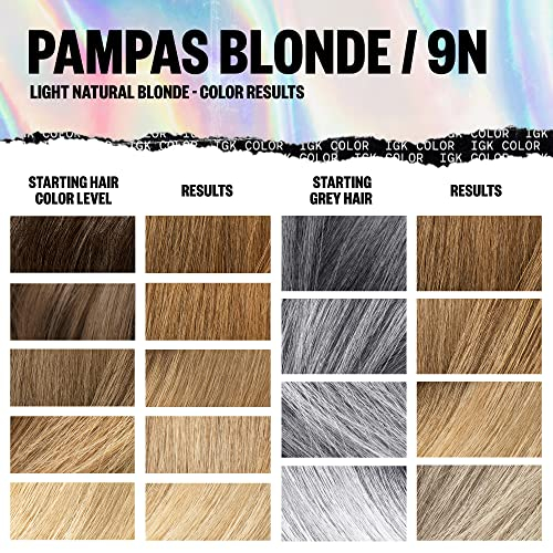Foto 5 pulgar | Kit De Coloración Para El Cabello Igk Pampas Blonde 135 Ml - Venta Internacional.