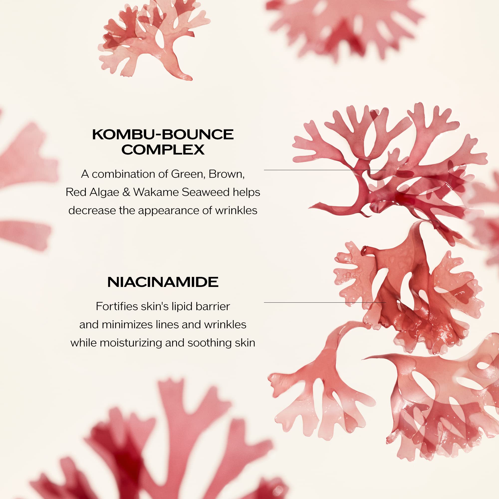 Foto 4 | Hidratante Shiseido Benefiance Antiarrugas - Venta Internacional