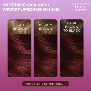 Foto 3 | Tinte Para El Cabello Clairol Bold & Bright Br4 Fruits Of The Forest - Venta Internacional.
