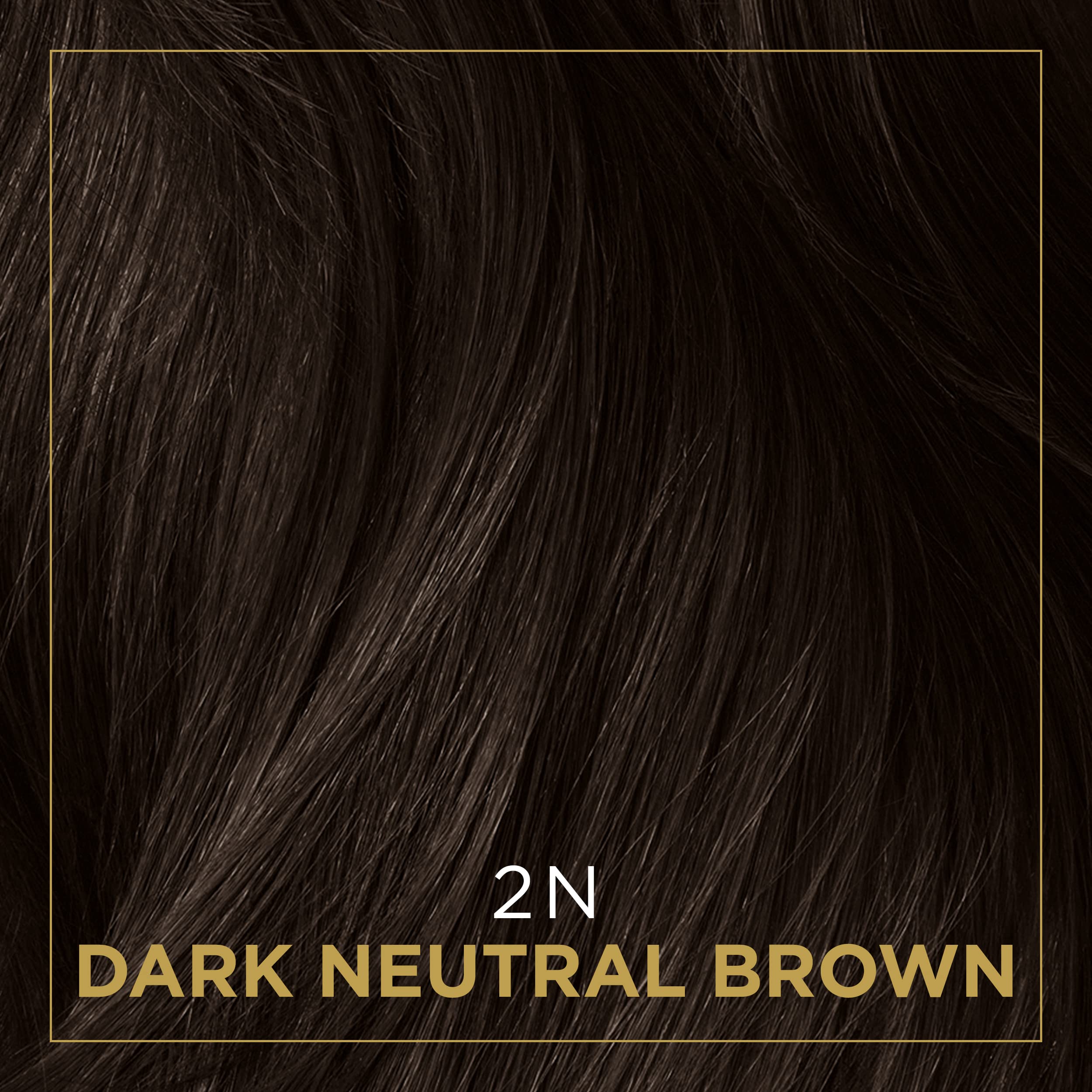 Foto 8 pulgar | Tinte De Pelo Clairol Professional Permanent Crème 2n Castaño Oscuro - Venta Internacional.