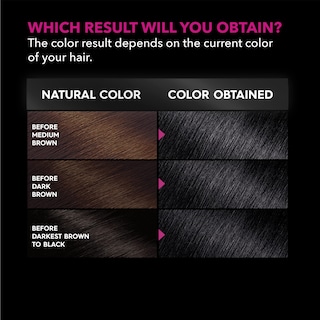 Foto 4 | Tinte Para El Cabello Garnier Olia Sin Amoniaco Platinum Black 60 Ml - Venta Internacional.