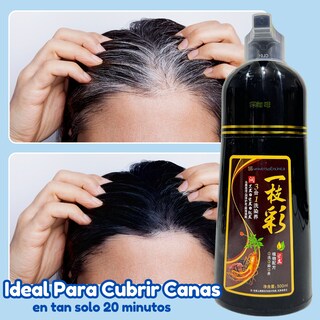Foto 3 | Shampoo Tinte 500ml Natural Cubre Canas Instantáneo (color Castaño)