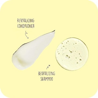 Foto 3 | Venta Internacional - Champú Y Acondicionador Sun Bum Revitalizing Vegan