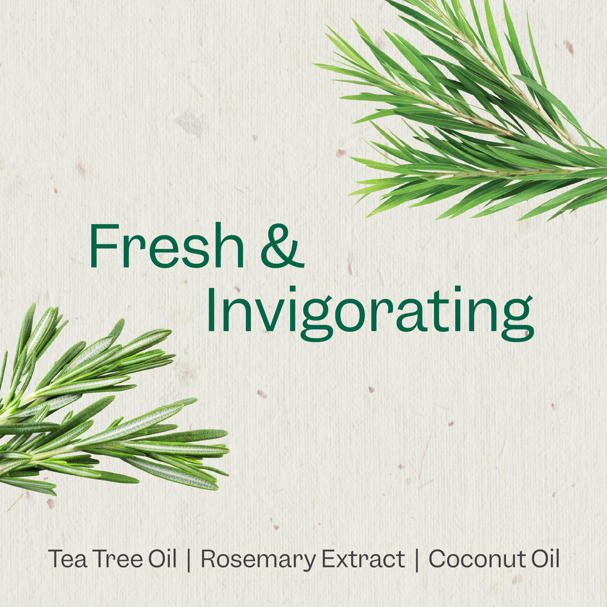 Foto 3 | Set De Champú Y Acondicionador Renpure Tea Tree & Rosemary 720ml - Venta Internacional.