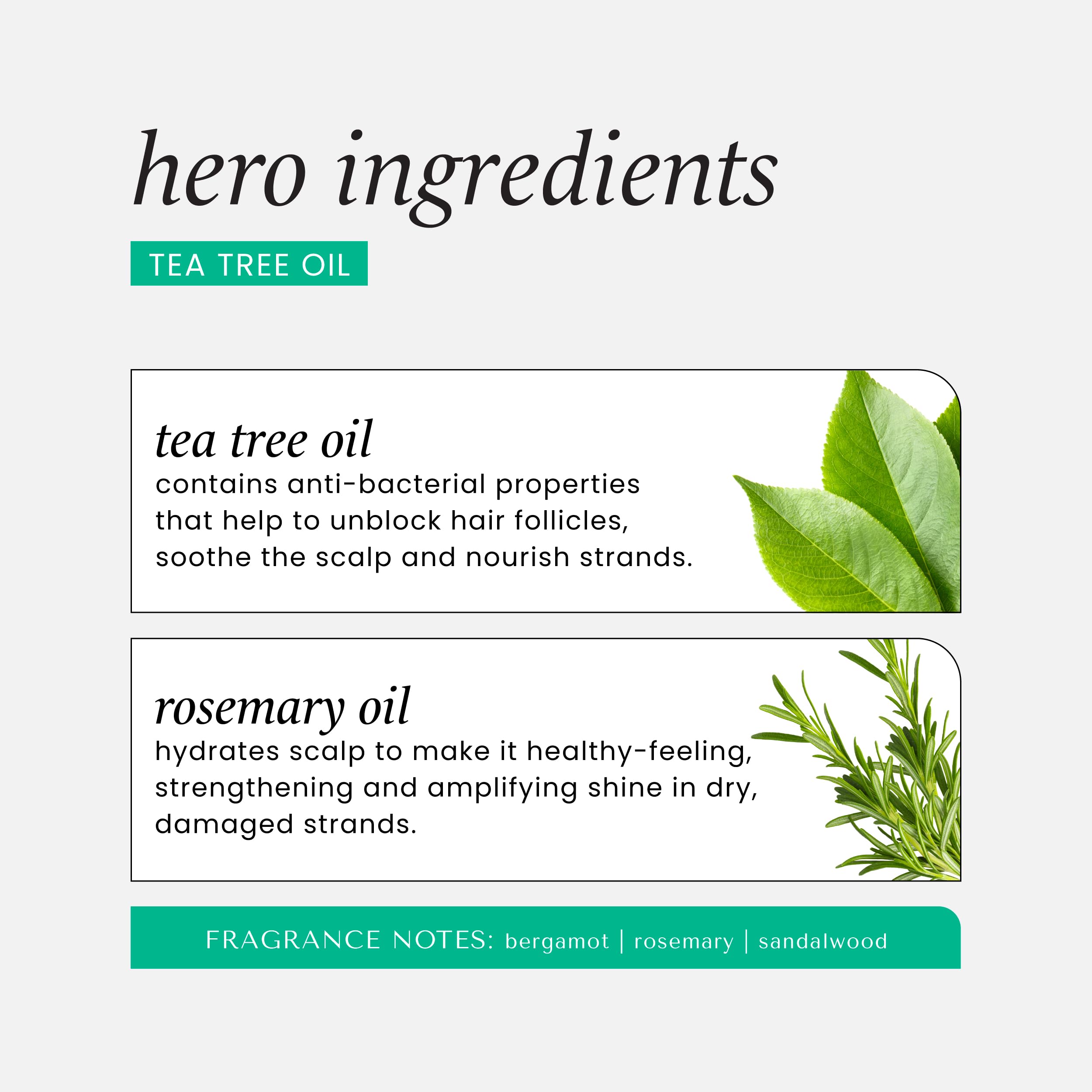 Foto 6 pulgar | Set De Champú Y Acondicionador Hask Tea Tree Oil & Rosemary - Venta Internacional.