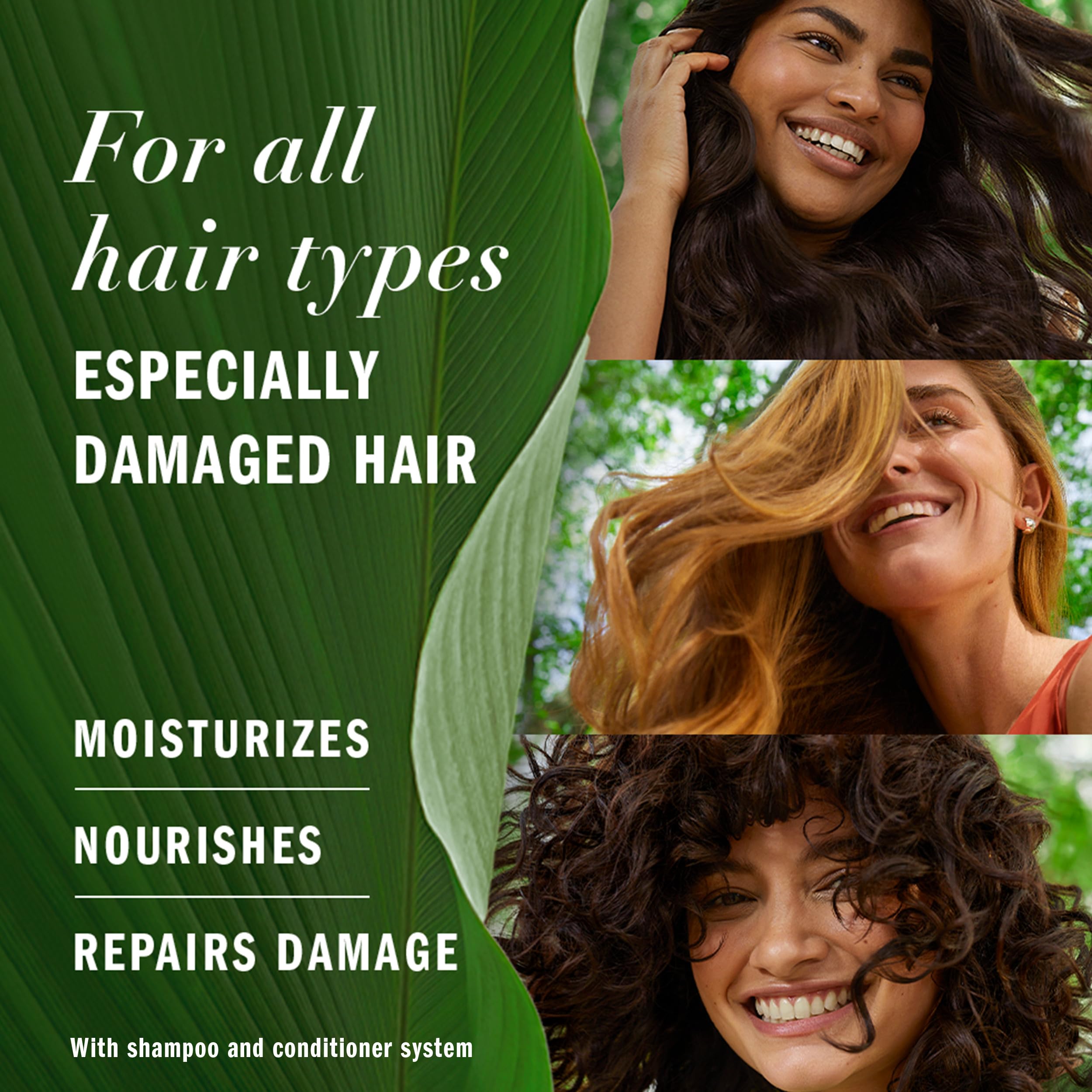 Foto 2 | Set De Champú Y Acondicionador Herbal Essences Argan Oil Repair - Venta Internacional.