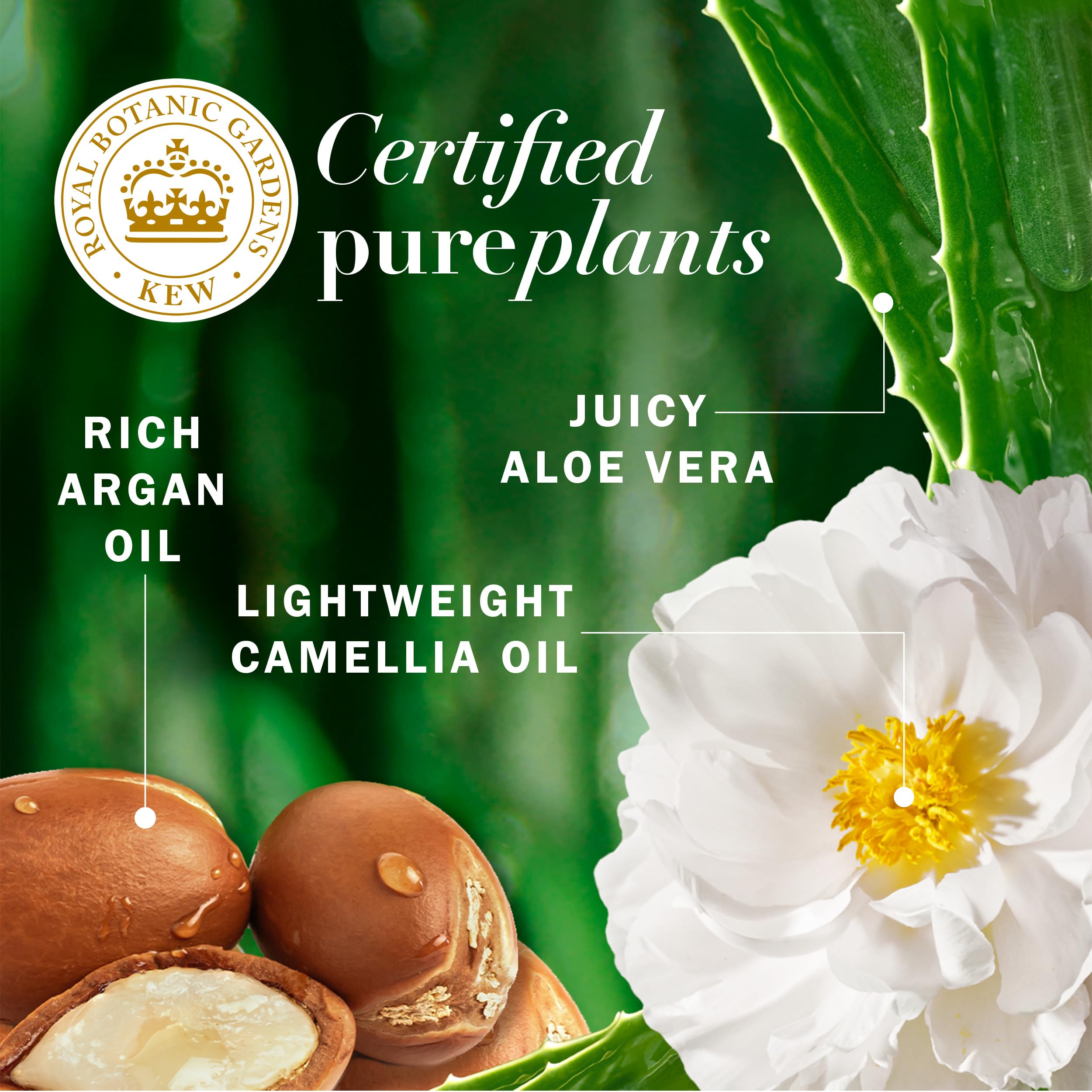 Foto 4 pulgar | Set De Champú Y Acondicionador Herbal Essences Argan Oil Repair - Venta Internacional.