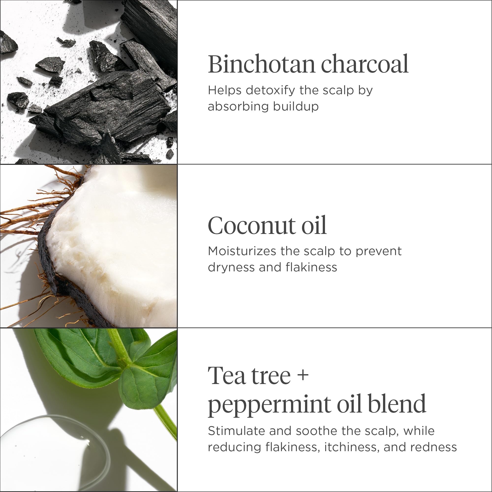 Foto 6 | Set De 4 Piezas Scalp Revival Soothe + Detoxify Minikit Briogeo - Venta Internacional.