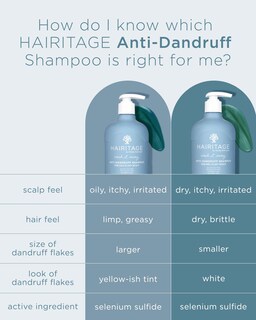 Foto 4 | Set De Champú Y Acondicionador Hairitage Anticaspa - Venta Internacional.