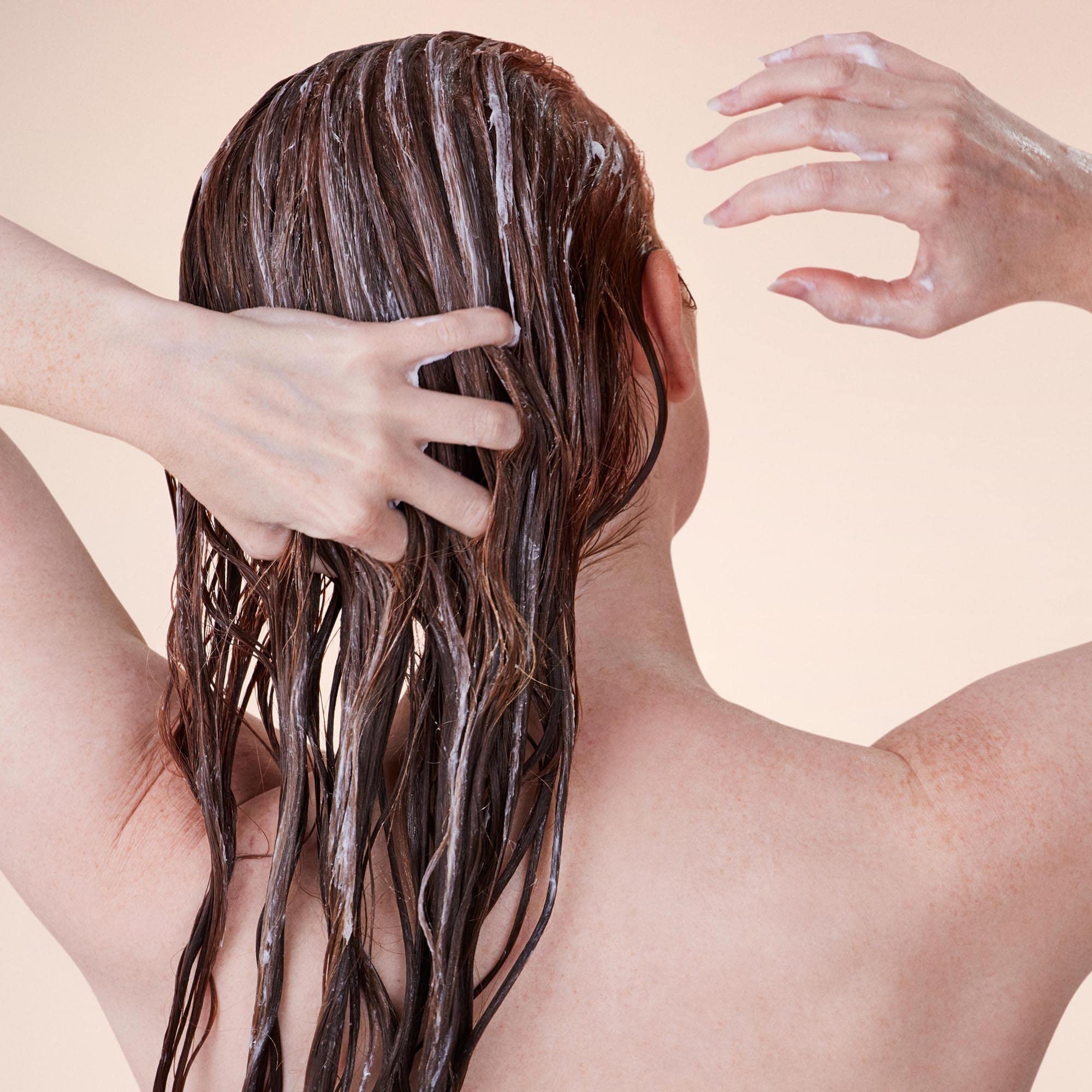 Foto 5 pulgar | Champú Y Acondicionador Not Your Mother's Curl Talk 360 Ml - Venta Internacional.