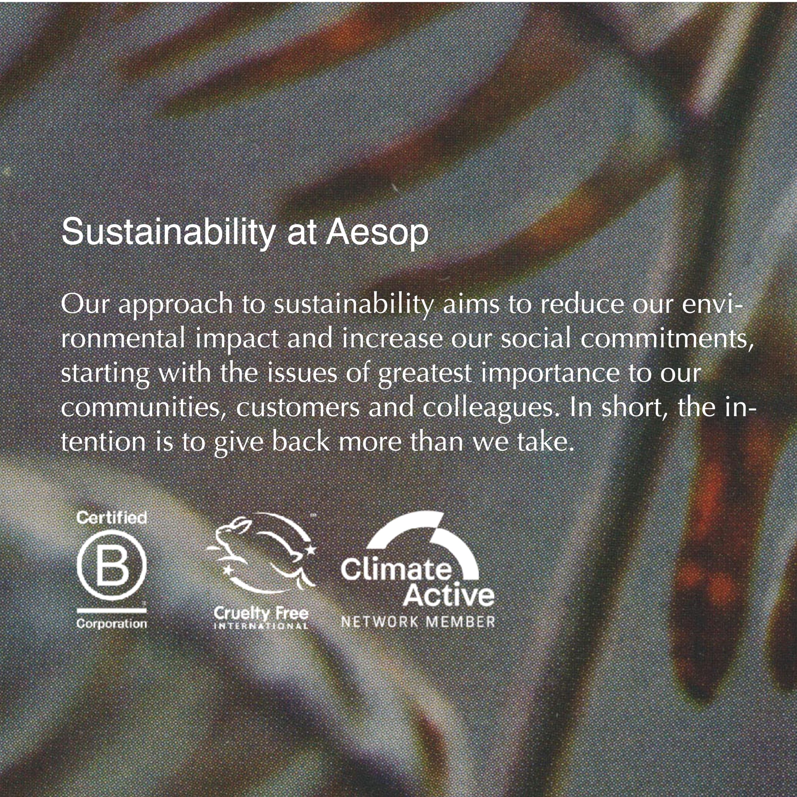 Foto 7 pulgar | Set De Champú Y Acondicionador Aesop Classic Rosemary 500 Ml - Venta Internacional.